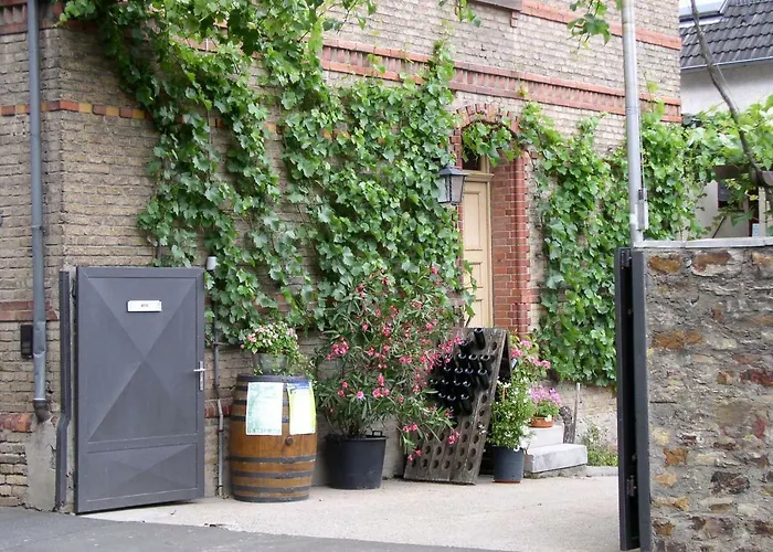 Weingut&Bioland Gästehaus Engelmann-Schlepper Eltville am Rhein