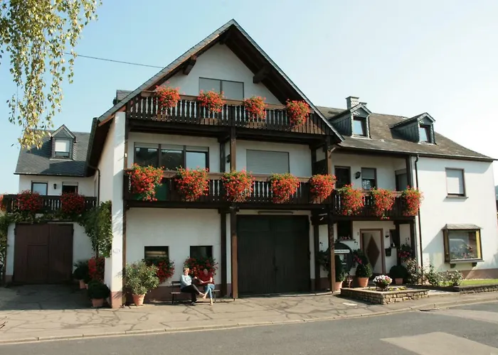 Weingut***Pension Günther Scholtes Leiwen