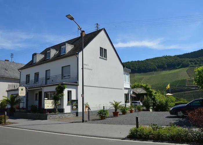 Wein&Gästehaus Ballmann Trittenheim