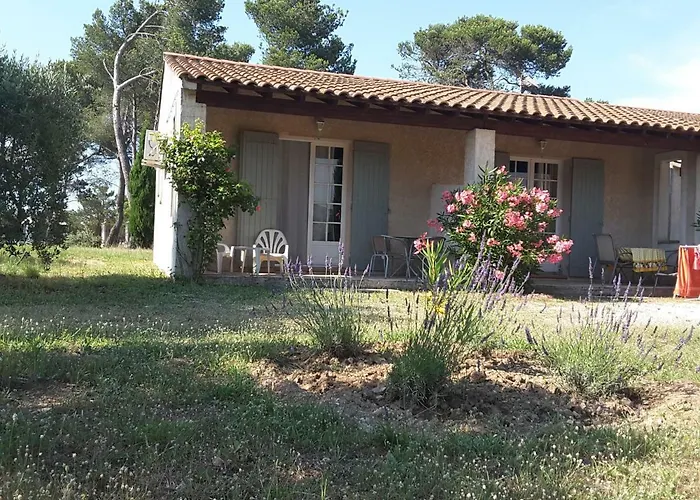 clair de lune Saint-Rémy-de-Provence