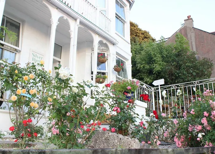Silver Birch Guesthouse Looe