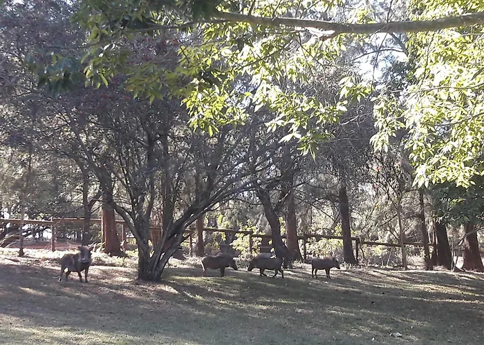 Wild Fig Guesthouse White River