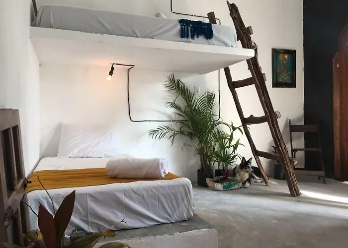 Black Jaguar Hostel Bacalar
