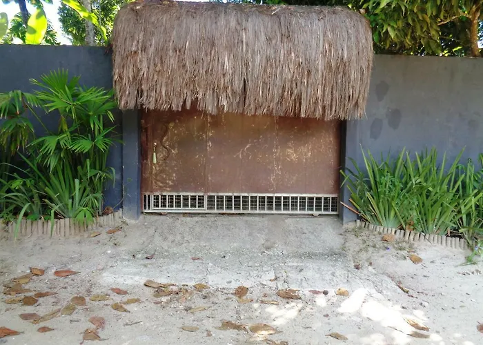 Casa Das Arvores Trancoso