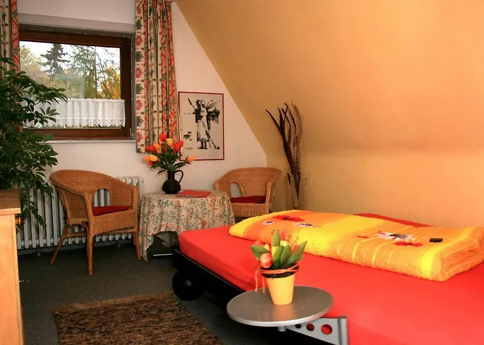 Frauenpension Arleta - Women only Goslar