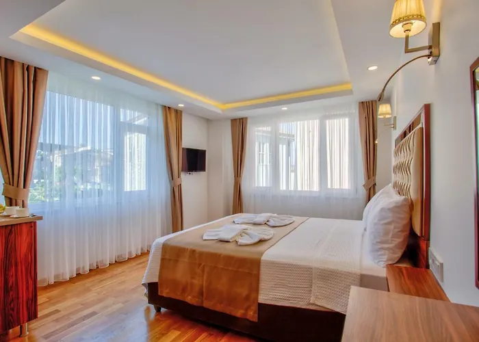 Violin Hotel Sultanahmet Estambul
