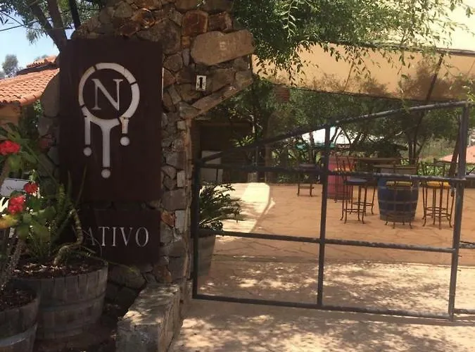 Guest House Nativo - Charming, Cozy&Affordable Valle de Guadalupe