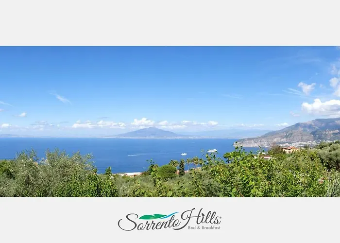 Sorrento Hills Bed & Breakfast