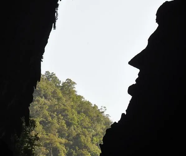 Mulu National Park Hotel
