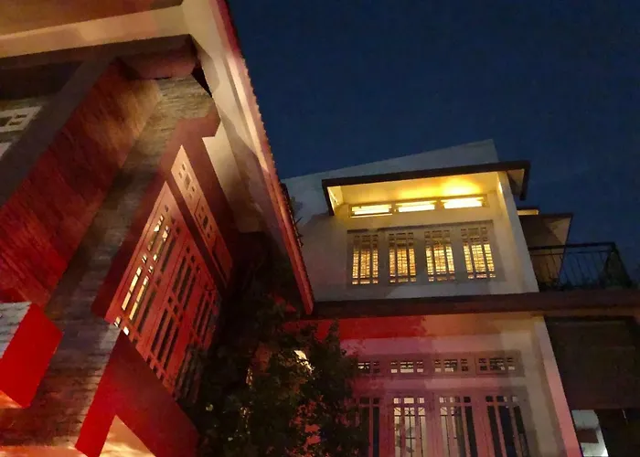 Bougainvillea Guwahati