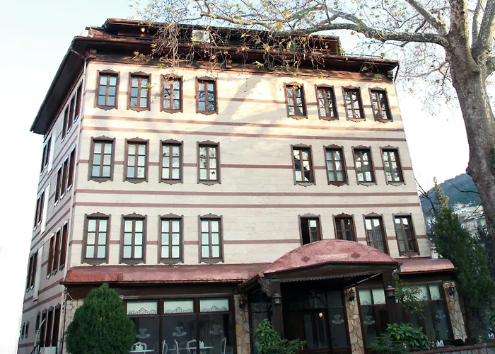 Kadi Konagi Thermal Hotel Bursa