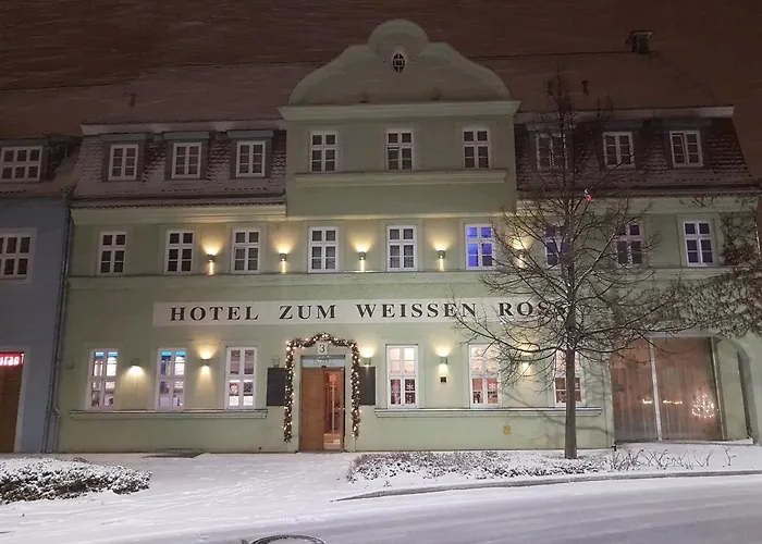 Hotel Zum Weissen Ross Delitzsch
