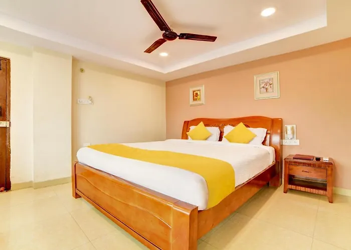 Collection O 5072 Padmini Inn Hyderabad