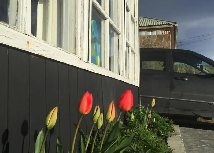 Bed and Breakfast Big Bang Patagonia - Traveler Assistance Puerto Natales