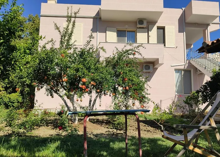 Olive B&B Berat