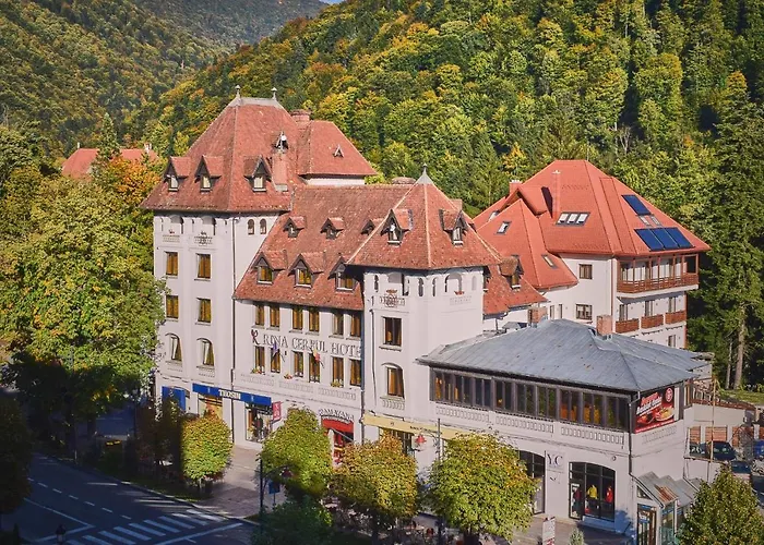 Hotel Rina Cerbul Sinaia