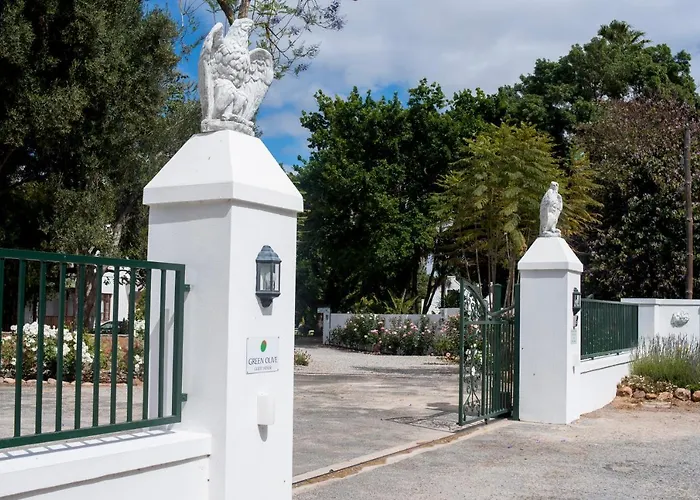 Green Olive Guesthouse Robertson