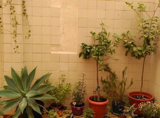 Como En Casa Alicante