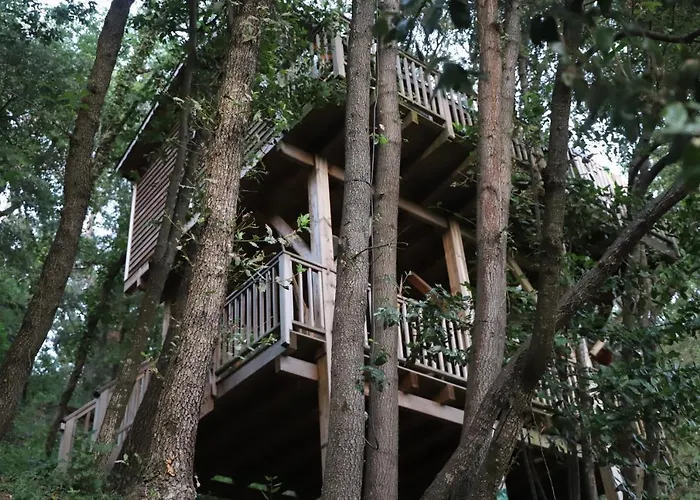 Orion Treehouses Saint-Paul-de-Vence