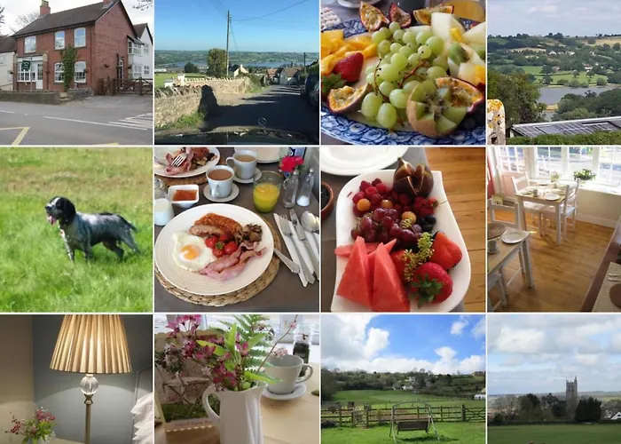 School Farm Bed & Breakfast Blagdon
