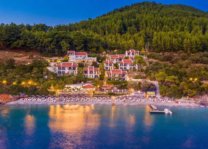 Adrina Beach Hotel Panormos 