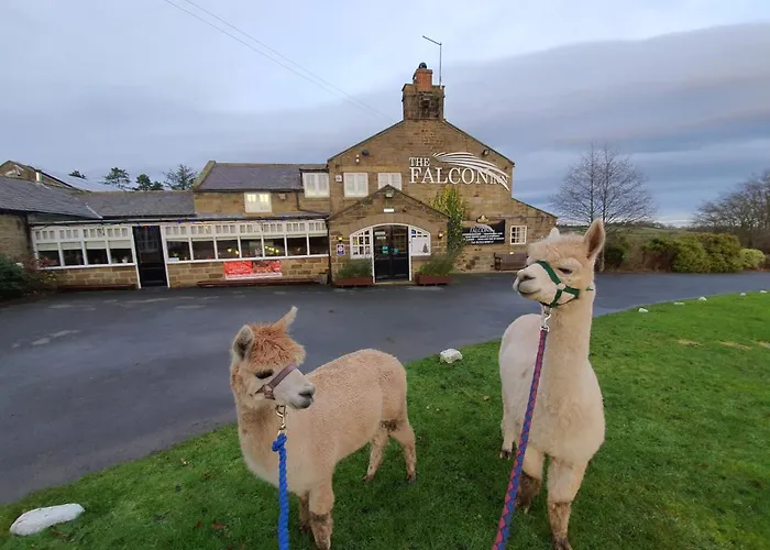 The Falcon Inn Ravenscar