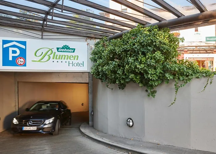 Dehner Blumen Hotel Rain 