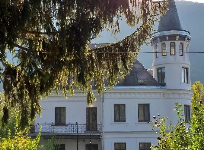 Vila Micul Castel Sinaia