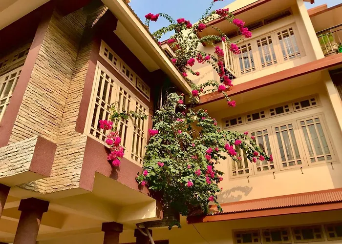 Bougainvillea Guwahati