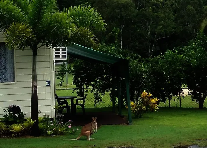 Flying Fish Point Tourist Park Hotel Innisfail