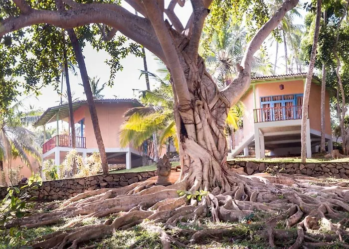 Palace Mirissa