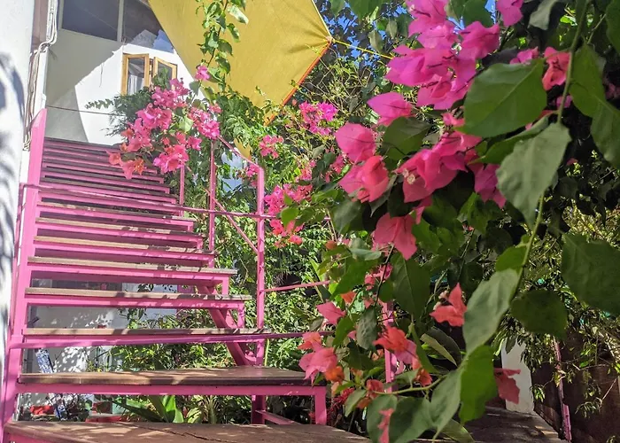 Michele'S Garden Bed & Breakfast Anjuna