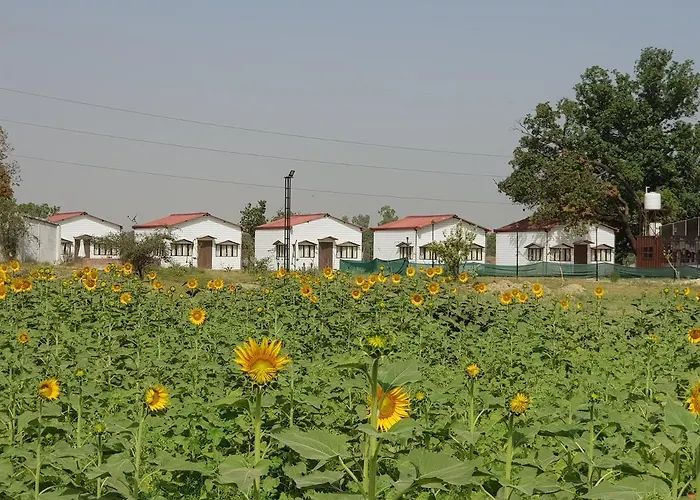Living Green Farms Prayagraj