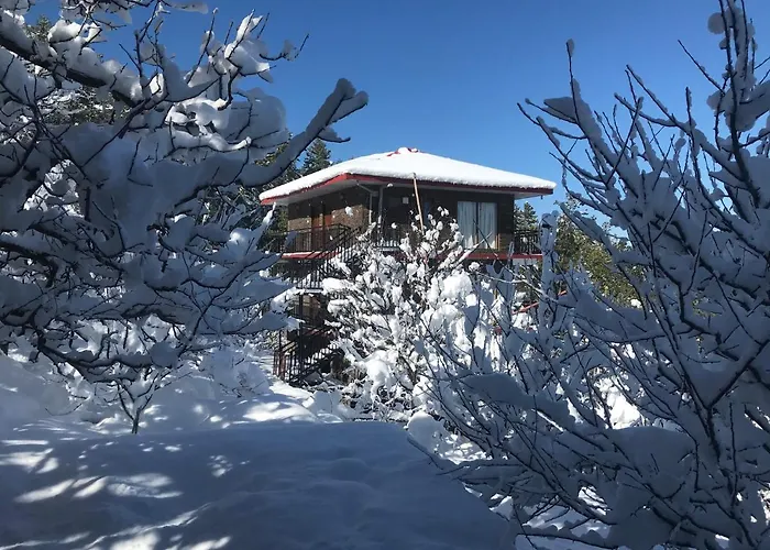 Aaramgah Bed & Breakfast Narkanda