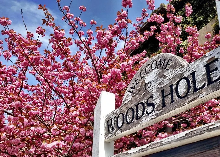 Treehouse Lodge Woods Hole