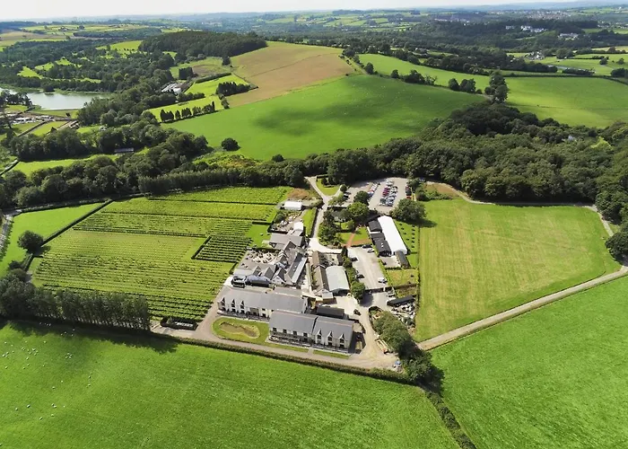 Llanerch Vineyard Hotel Hensol