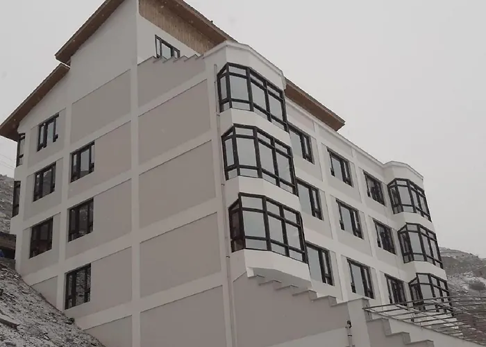 Hotel The White Castle Kargil