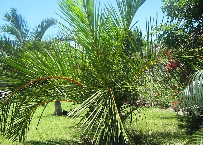 Palm Gardens Guesthouse Richards Bay