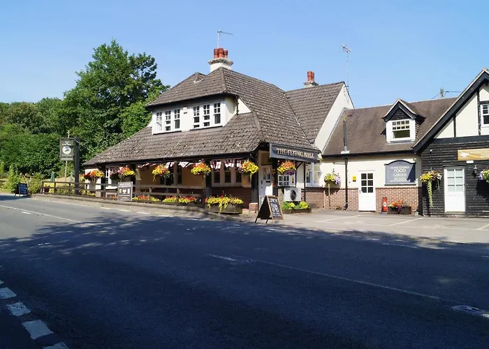 The Flying Bull Inn Liss