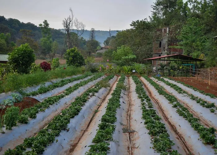 Jungle Valley Agriculture Resort Mahabaleshwar