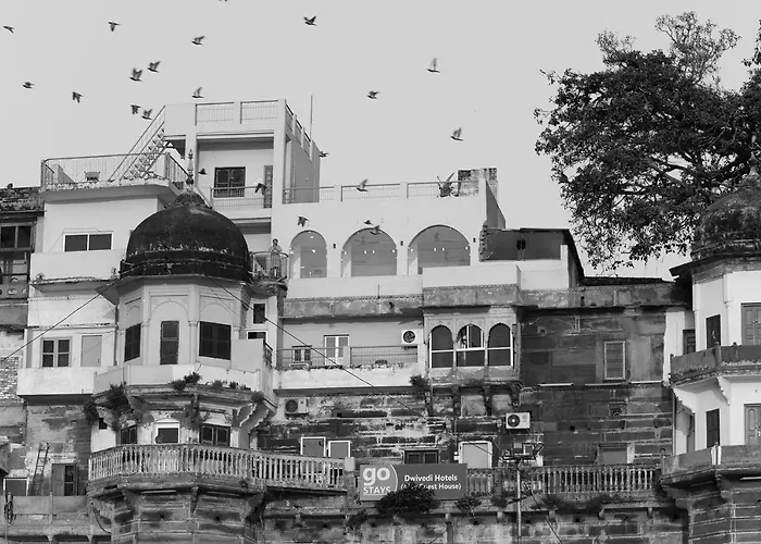 Dwivedi Hotels Hotel Elena Varanasi