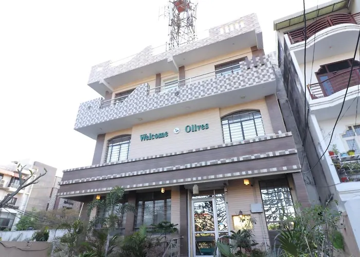 Welcome Olives Meerut