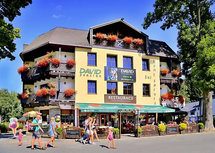 David Wellness Hotel Harrachov