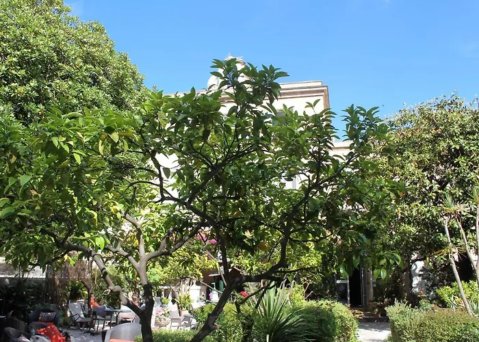 Hotel Les Palmiers Saint-Tropez