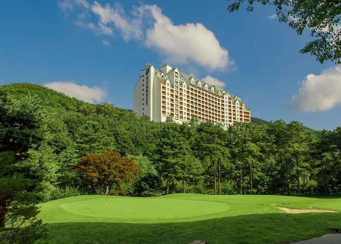 Yangji Pine Resort Yongin