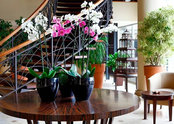 Cinar Hotel อิสตันบูล