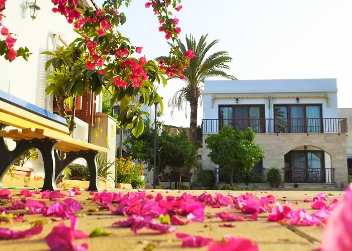 Golden Palms Guest House & Cafe Gazimağusa