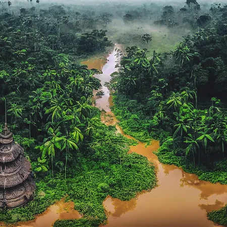 Floresta Amazônica